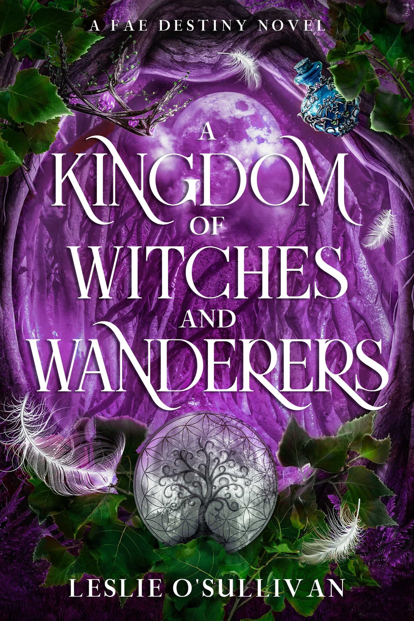 Book cover of 'A Kingdom of Witches and Wanderers' with purple background and witchcraft symbols.
