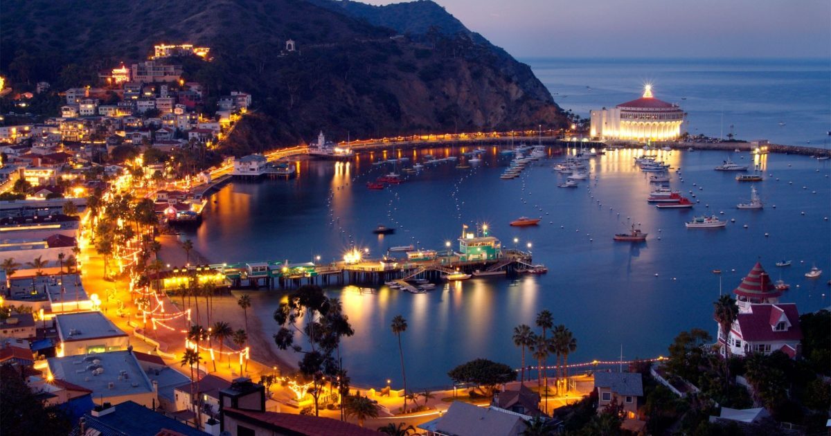 Gilded Wing Book Cruise Conference Registration